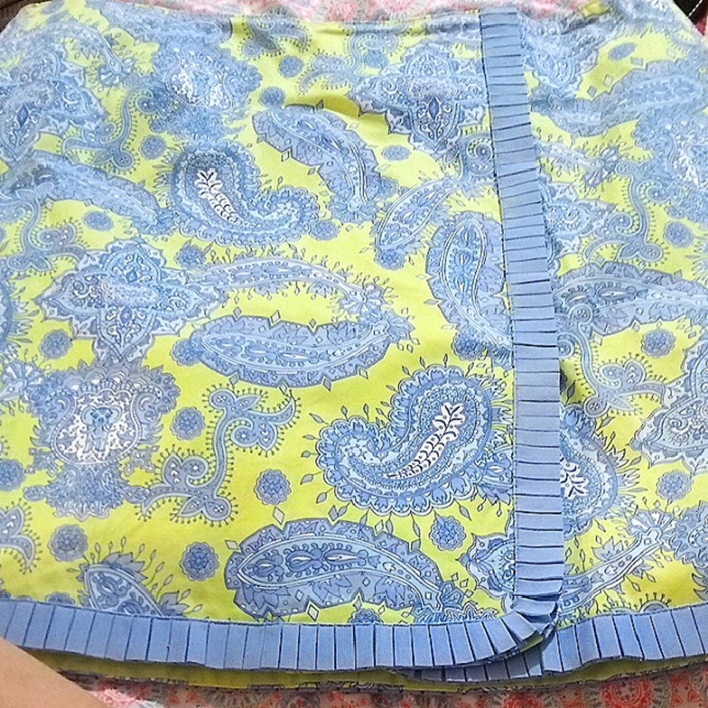 Lilly And Van Blue and Green Paisley Women's Skirt